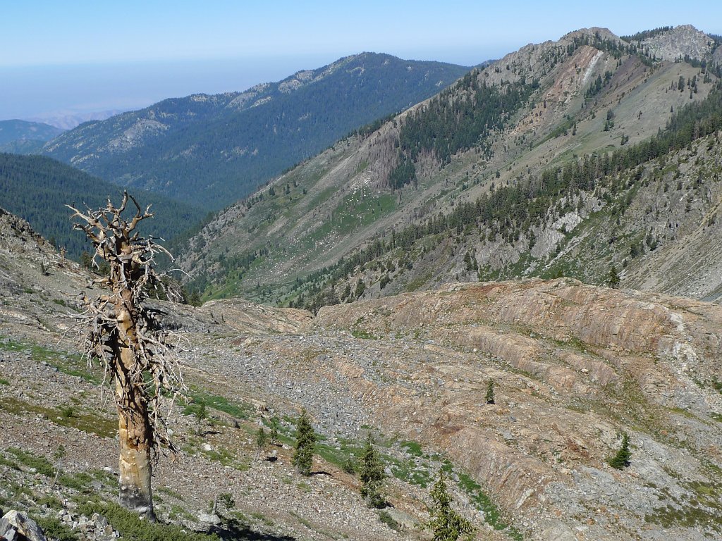 MineralKingLoop 288.JPG